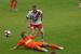 dsc01755_t1.jpg