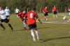 Kliknij, aby zobaczyć. dsc01170_t1.jpg